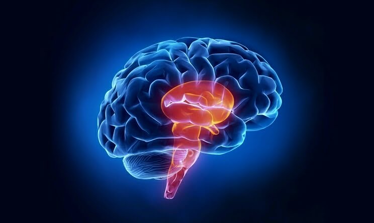 İnsan Zihninin Gizli Sırlarını Ortaya Çıkarmak: Psikolojik İnceliklere Bir Yolculuk